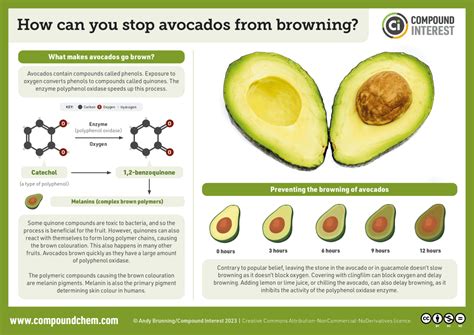 does avocado oil contain polyphenols